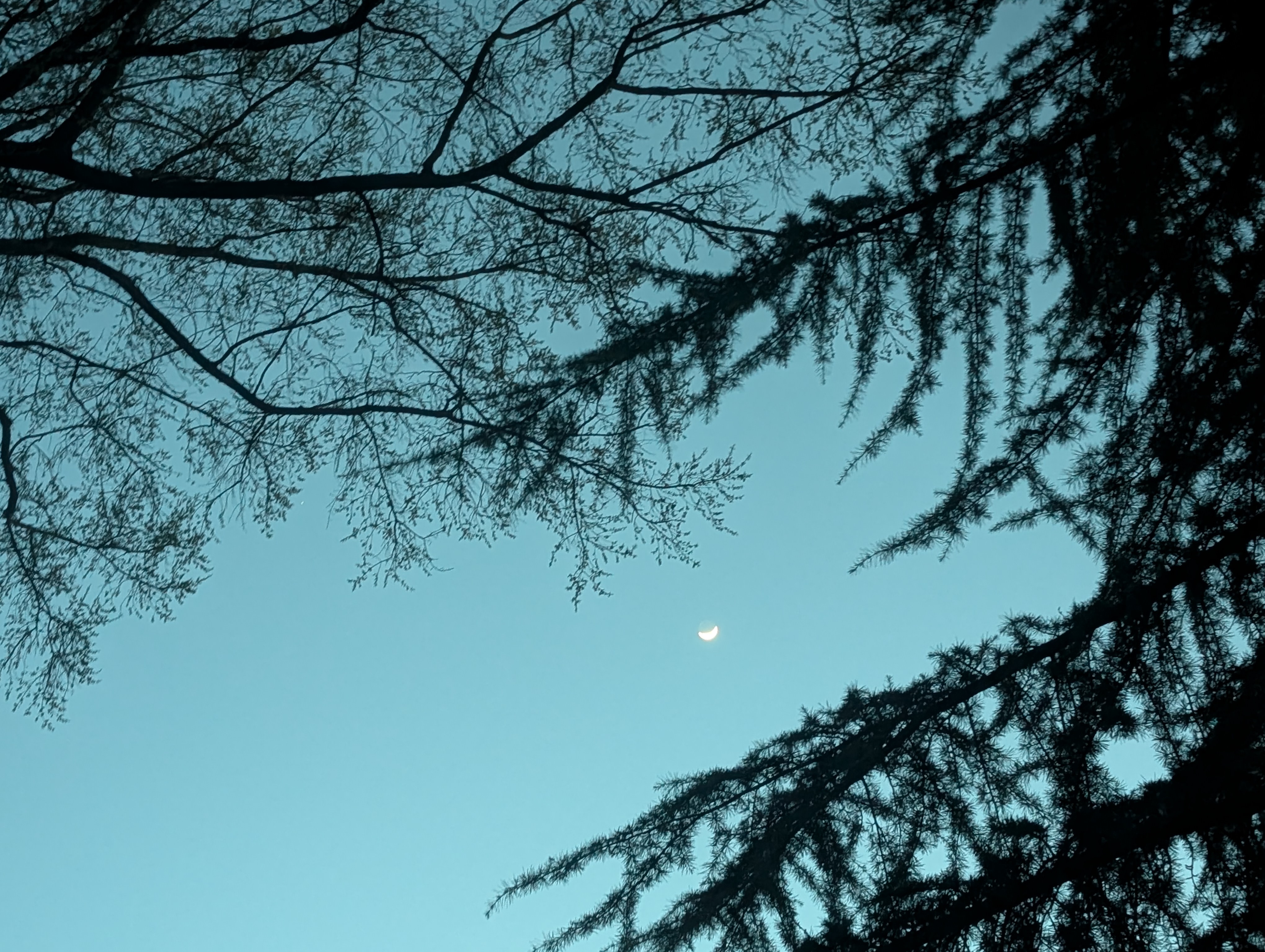 sunrise photo
